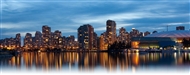 Langley Limo Rental Services
