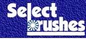 Select Brushes
