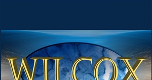 Wilcox High Velocity Ltd.