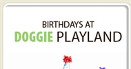 Dog Daycare Toronto, Etobicoke | Doggy daycare Etobicoke