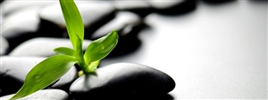 Muscle Body Therapy - Myofascial Richmond Hill