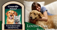 animal hospital vancouver,pet surgeon,pet surgeon vancouver,veterinary,hospital