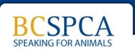 BC SPCA