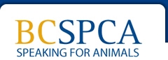 BC SPCA